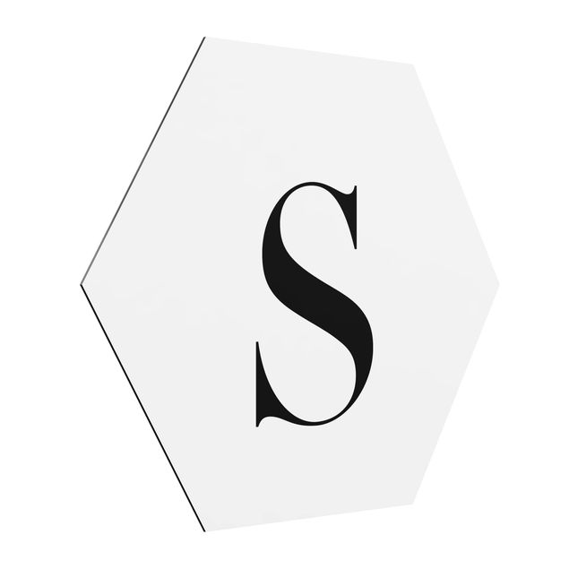 Tableaux lettres Lettre Serif Blanc S
