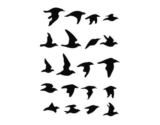 Sticker pour fenêtres - No.61 Flock Of Birds