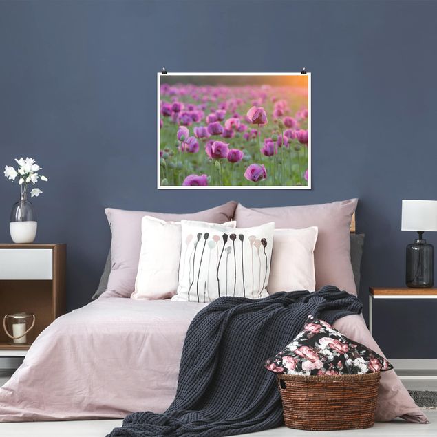 Tableau moderne Prairie de coquelicots violets au printemps