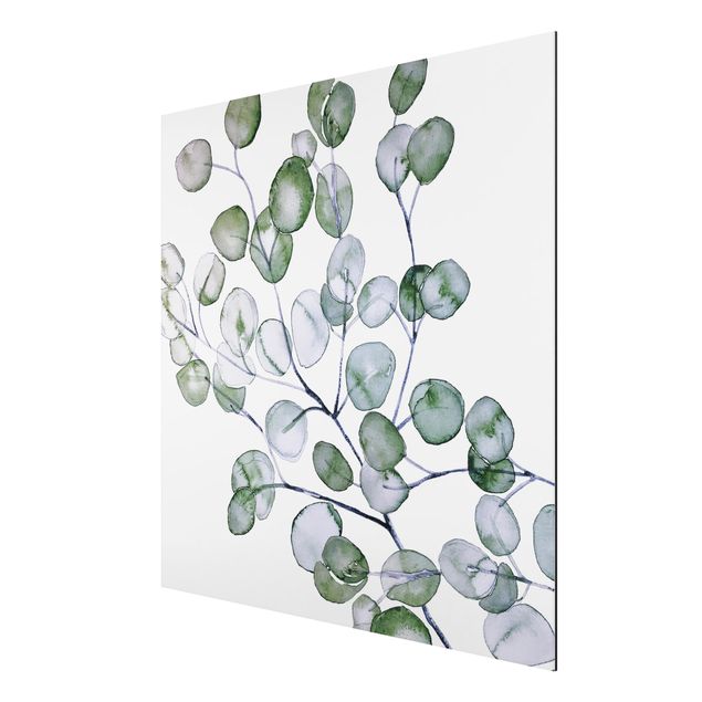 Tableaux fleurs Branche d'eucalyptus vert aquarelle