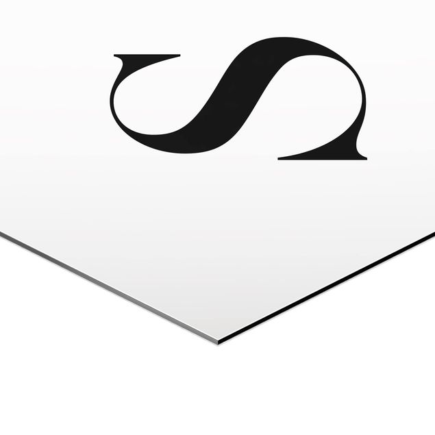 Hexagone en alu Dibond - Letter Serif White S