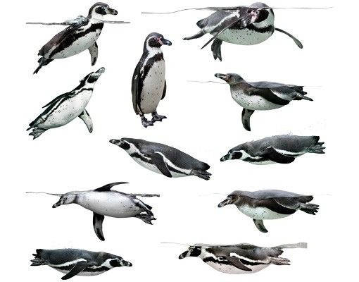 Stickers muraux No.391 Lot Humboldt-Penguin