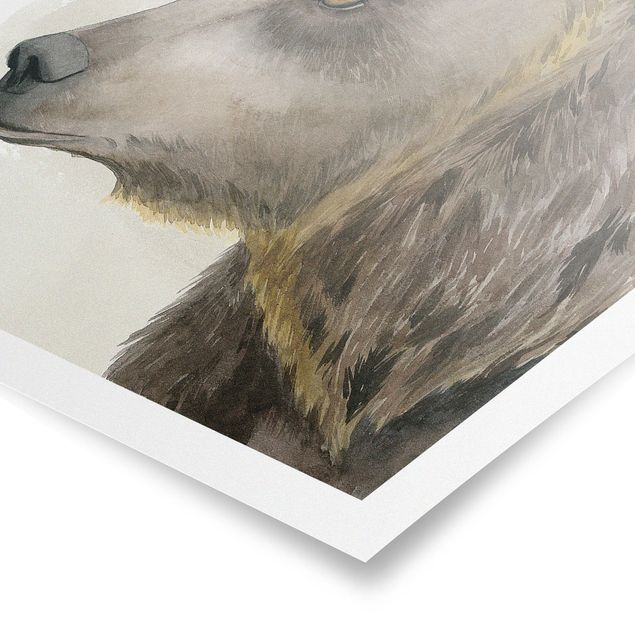 Affiche animaux Amis de la forêt - Ours