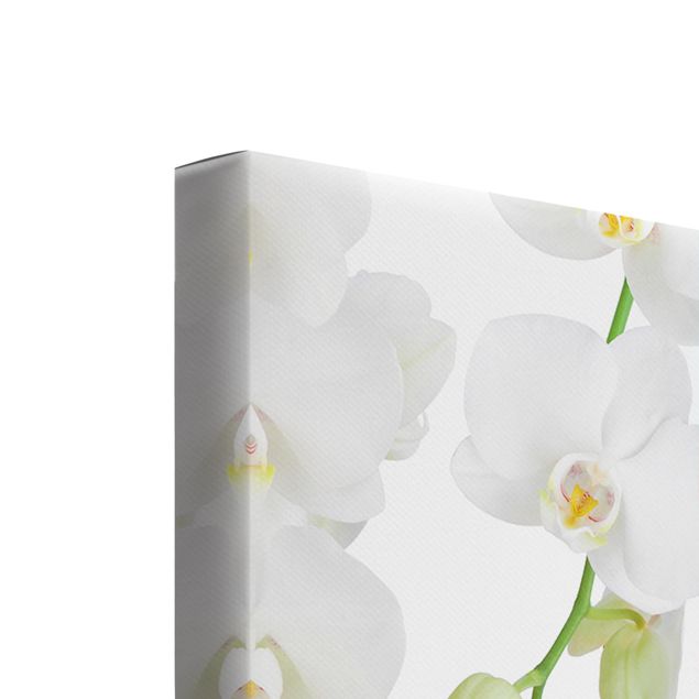 Tableaux muraux Orchidées sur l'eau