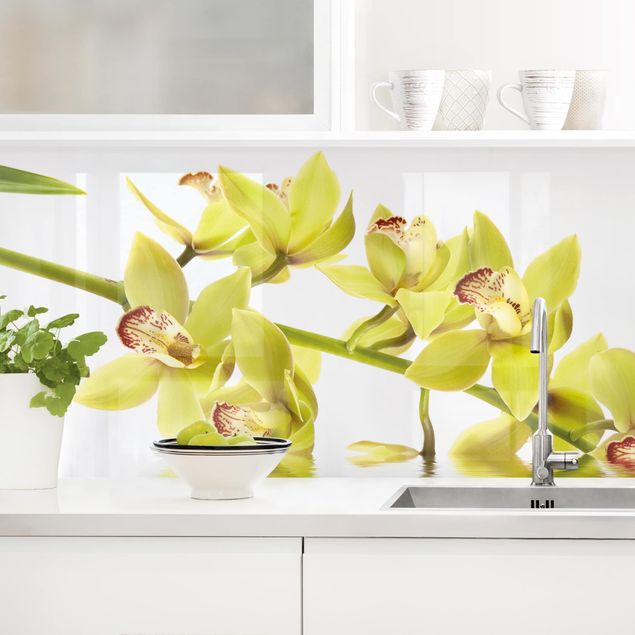 Décorations cuisine Eaux élégantes d'orchidées