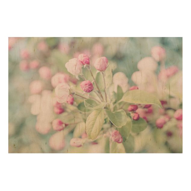 Tableaux en bois avec fleurs Apple Blossom Bokeh Light Pink