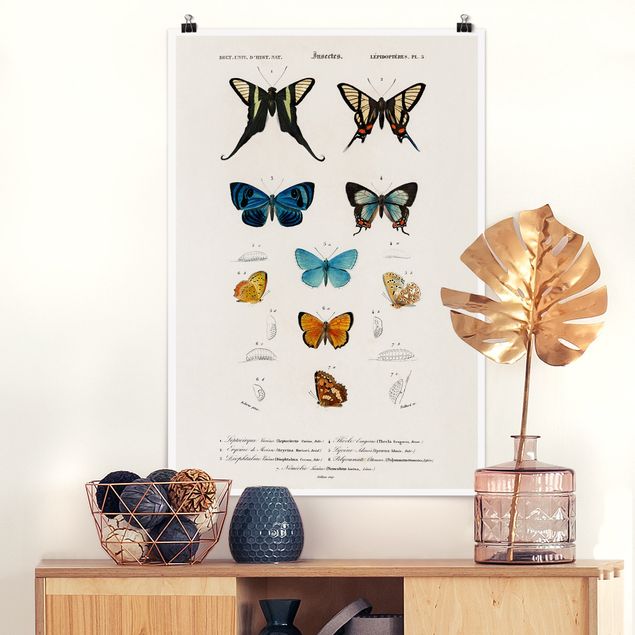 Déco mur cuisine Tableau Vintage papillons I