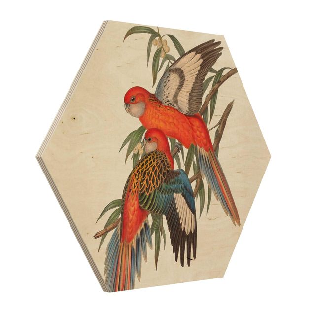 Tableaux muraux Tropical Parrot I