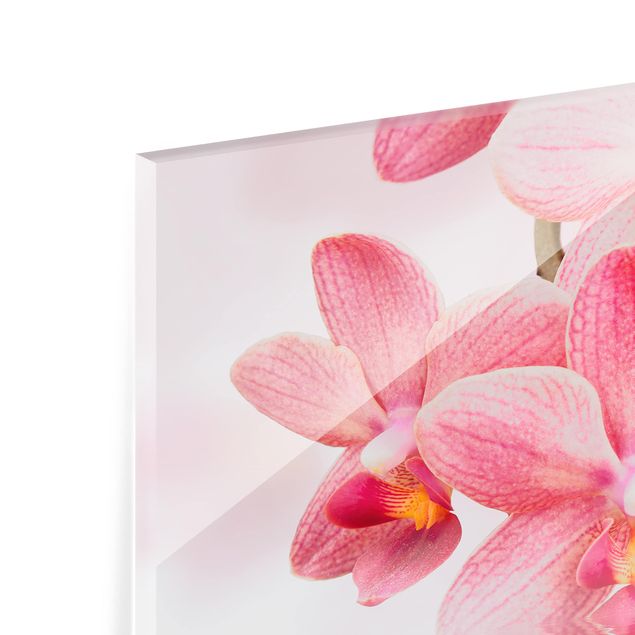 Fond de hotte - Pink Orchids On Water