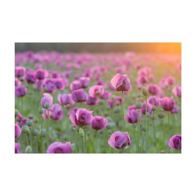 tapis floral Prairie de coquelicots violets au printemps