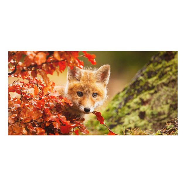 Fond de hotte - Fox in Autumn