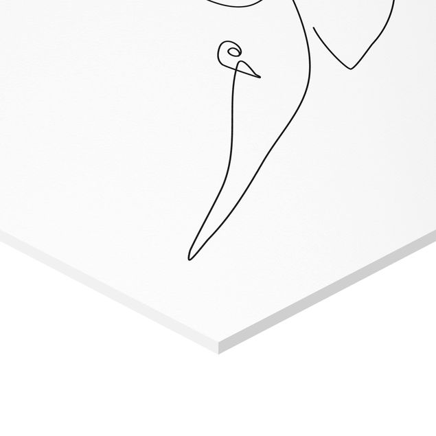 Hexagone en forex - Dove Line Art