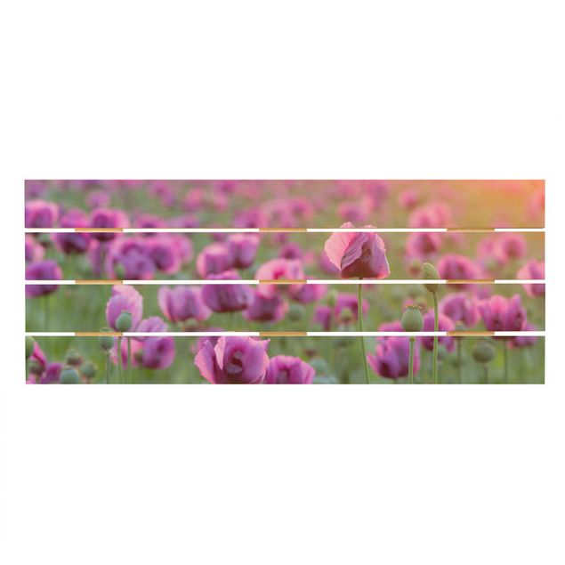 Tableau décoration Prairie de coquelicots violets au printemps
