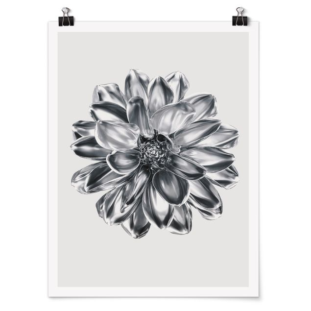 Poster fleurs Fleur de dahlia argent métallique