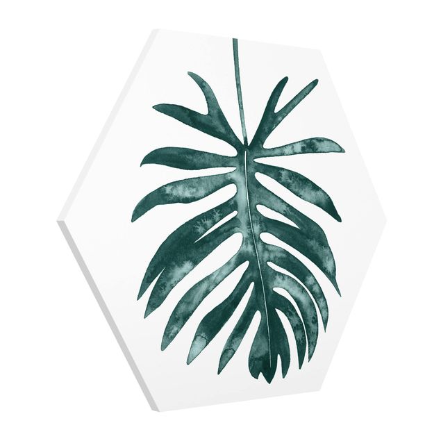 Tableaux florals Emerald Philodendron Angustisectum