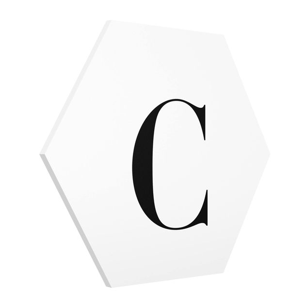 Tableau lettres Lettre Serif Blanc C