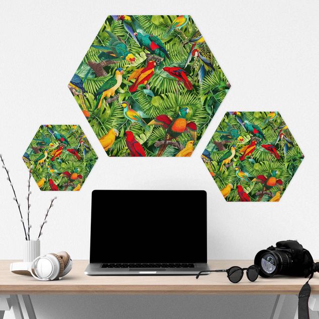 Tableau décoration Collage coloré - Perroquets dans la jungle