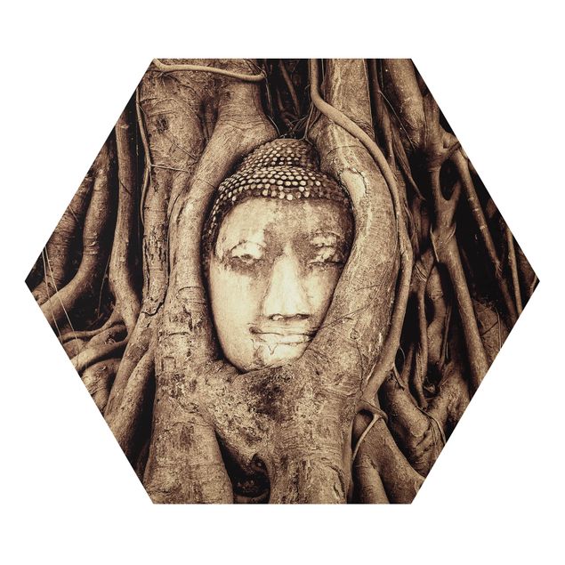 Tableaux fleurs Bouddha d'Ayutthaya doublé de racines d'arbre en brun