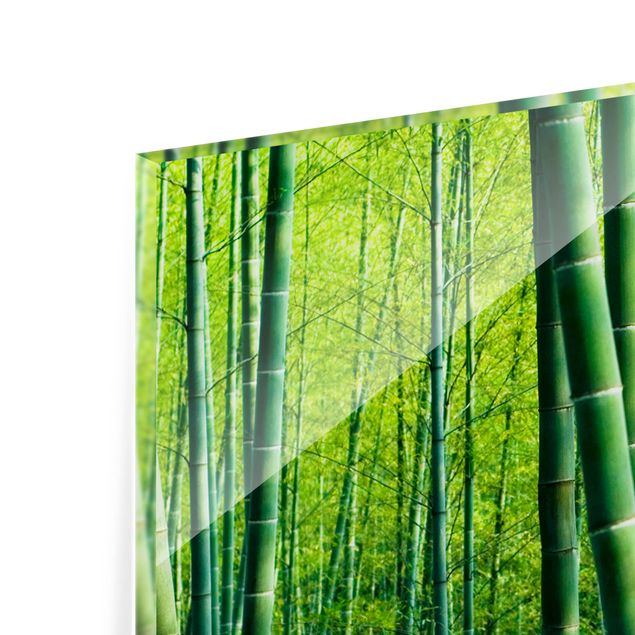 Fond de hotte - Bamboo Forest