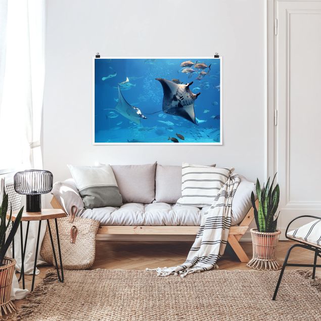 Tableaux modernes Manta Ray