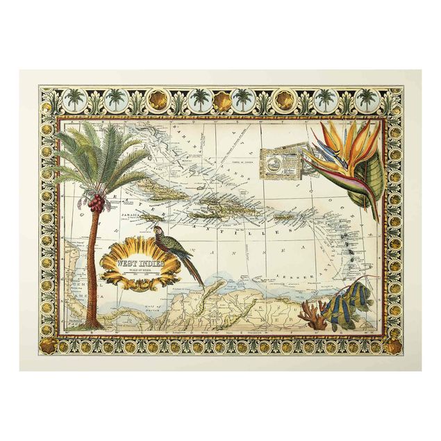 Tableaux paysage Carte Vintage Tropicale Antilles