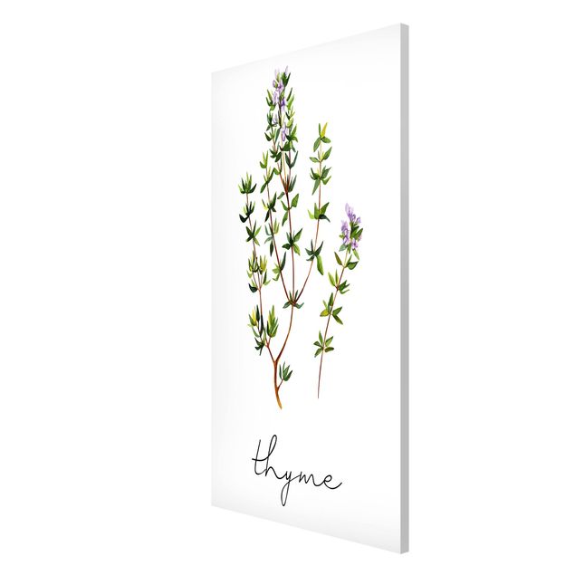 Tableau moderne Illustration d'herbes aromatiques Thym