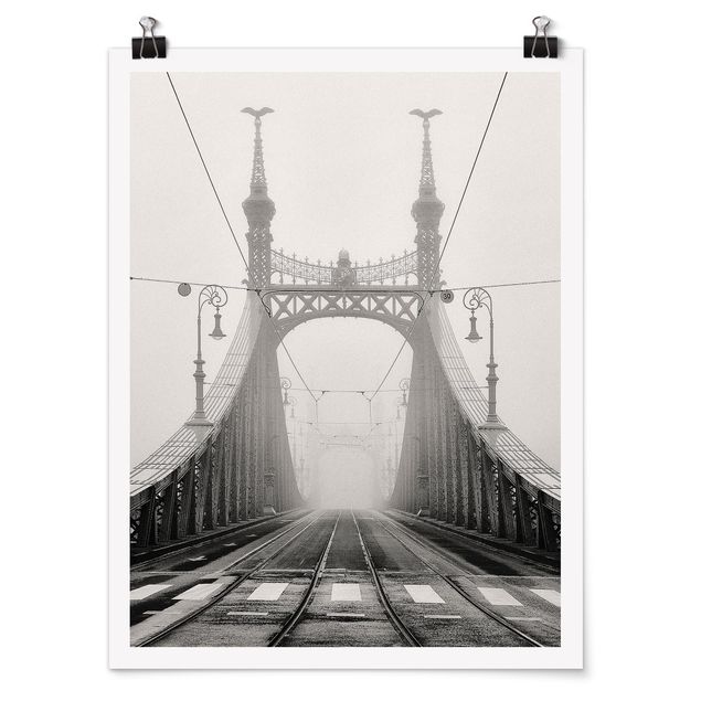 Posters en noir et blanc Pont à Budapest