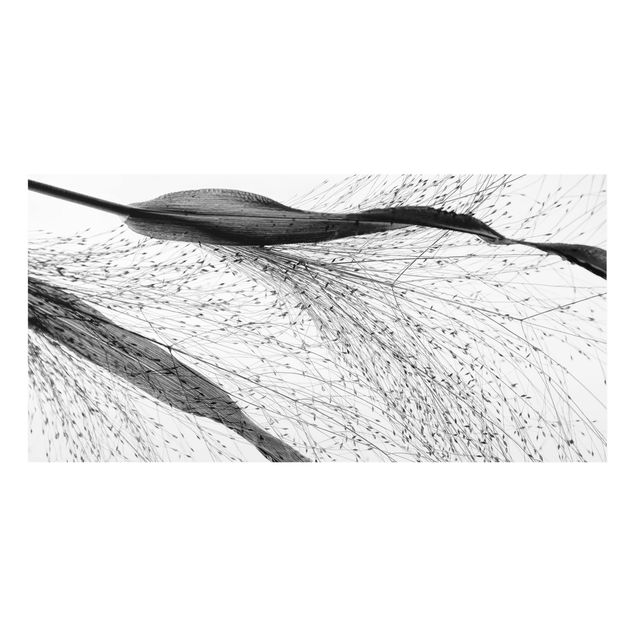 Fonds de hotte - Delicate Reed With Subtle Buds Black And White - Format paysage 2:1