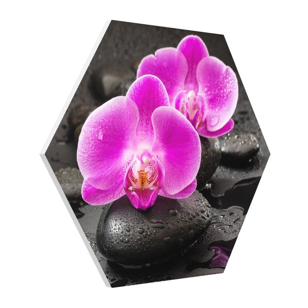 Tableau fleurs Fleur Orchidée Rose sur Pierres avec Gouttes