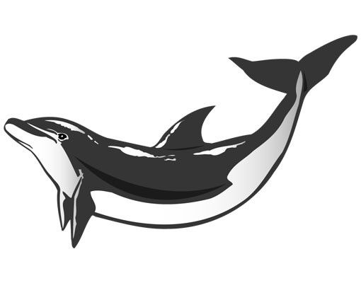 Sticker mural - No.TA49 Dolphin