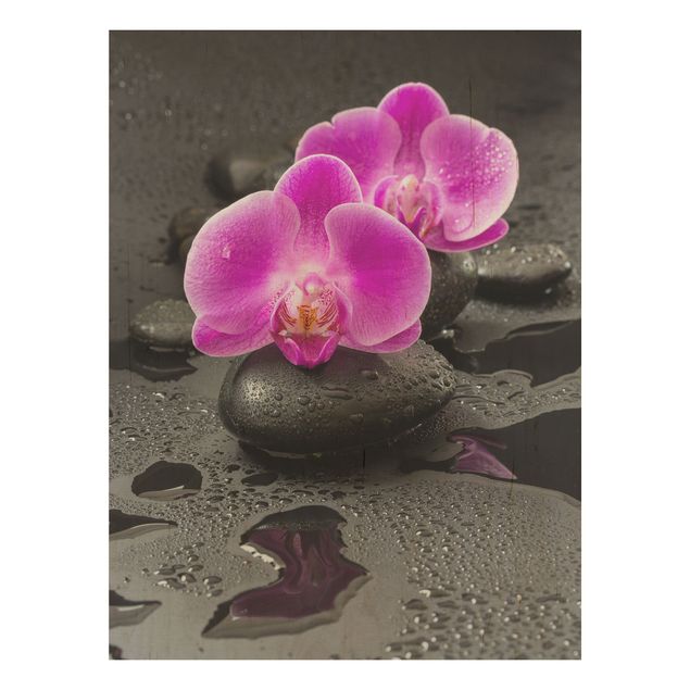 Tableaux en bois avec fleurs Fleur Orchidée Rose sur Pierres avec Gouttes