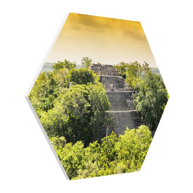 Tableaux jungle Pyramide de Calakmul