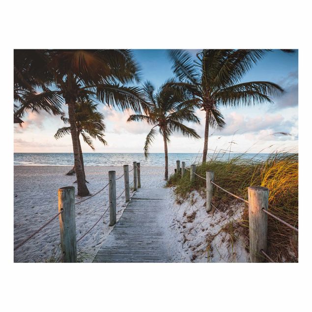 Fond de hotte - Palm Trees At Boardwalk To The Ocean - Format paysage 4:3