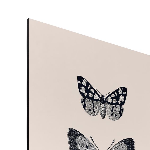 Tableau gris Papillons à l'encre sur fond beige