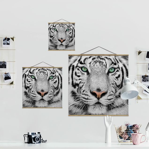 Tableau décoration Tigre Blanc