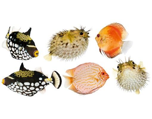 Stickers muraux animaux No.618 Fish Set