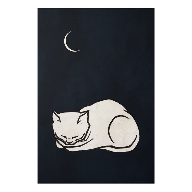 Tableau chats Illustration d'un chat endormi