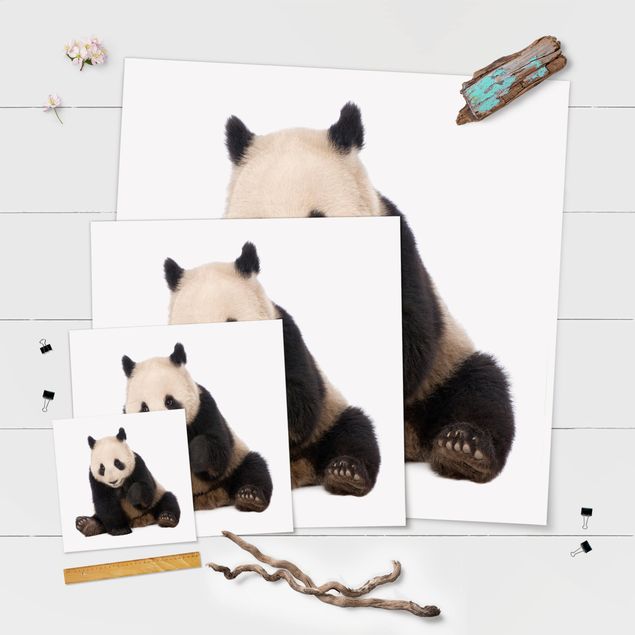 Affiche déco Pattes de panda