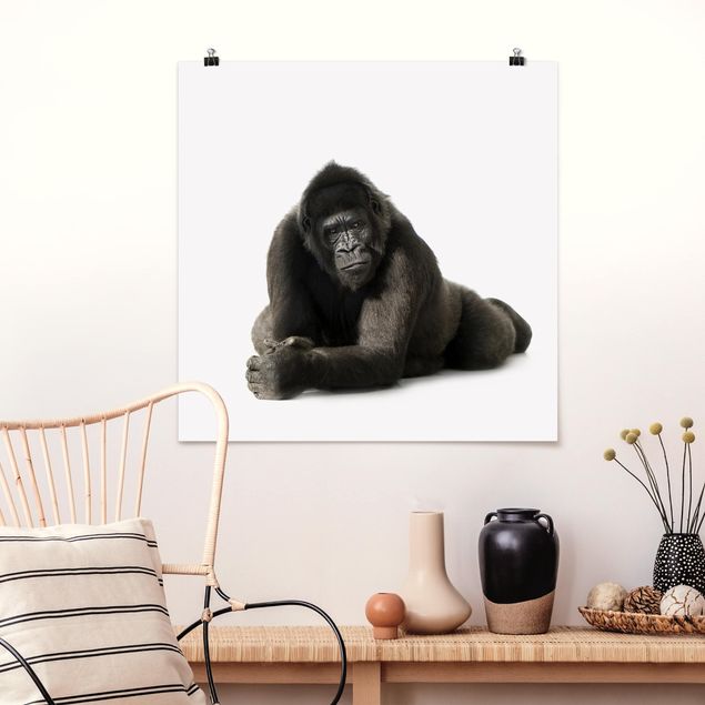 Tableau singe Gorille couché II