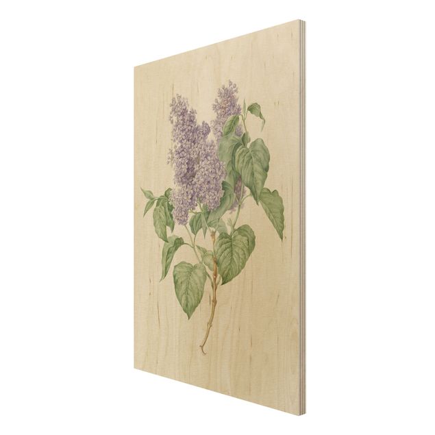 Tableaux en bois avec fleurs Maria Geertruyd Barber-Snabilie - Lilas