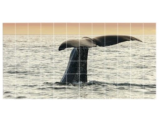 Film adhésif décoratif Baleine plongeante
