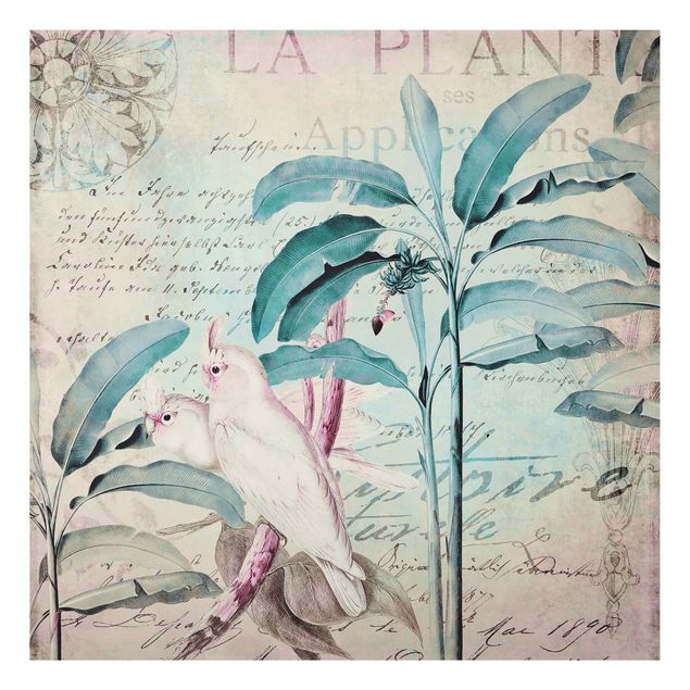 Tableaux fleurs Colonial Style Collage - Cacatoès et Palmiers