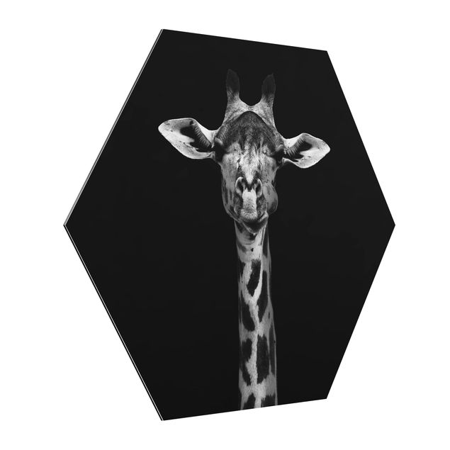 Tableaux animaux Portrait de girafe sombre