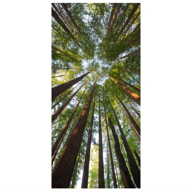 Panneau de séparation - Sequoia Tree Tops