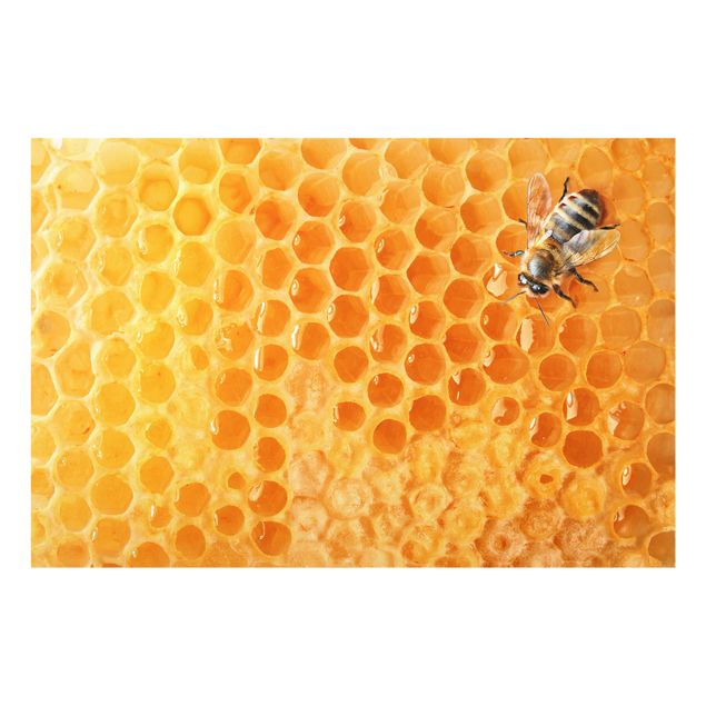 Fond de hotte - Honey Bee