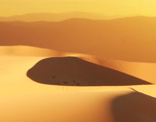 Films autocollants Le désert d'Arabie Saoudite