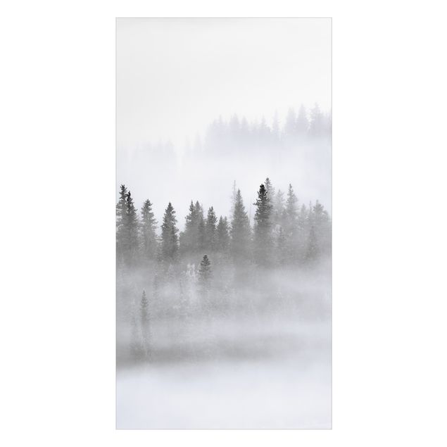 Revêtement mural de douche - Fog In The Fir Forest Black And White