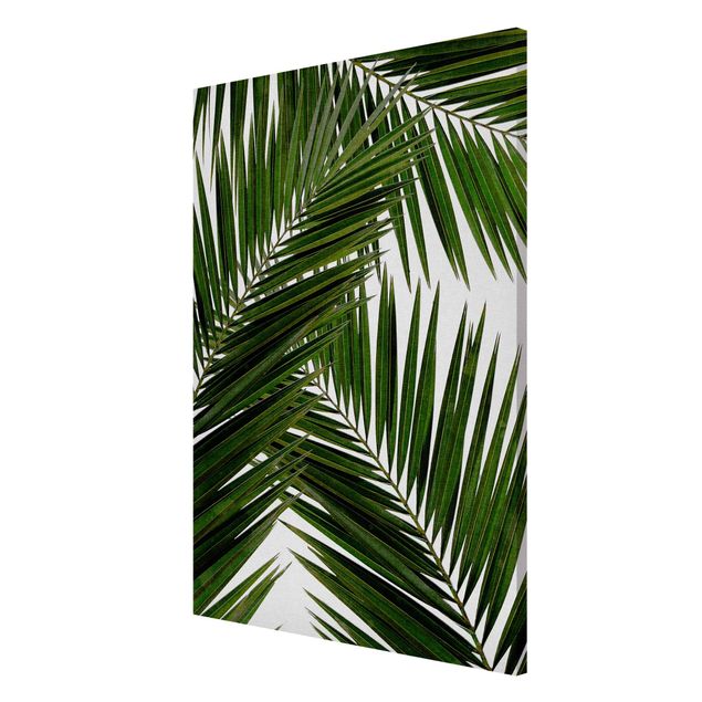 Tableaux magnétiques avec fleurs Vue à travers des feuilles de palmier vertes