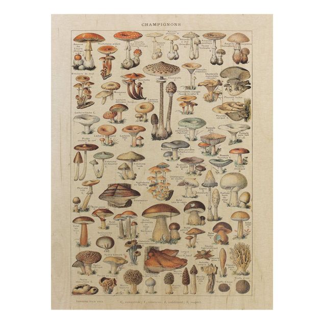 Tableaux en bois avec fleurs Tableau Vintage champignons