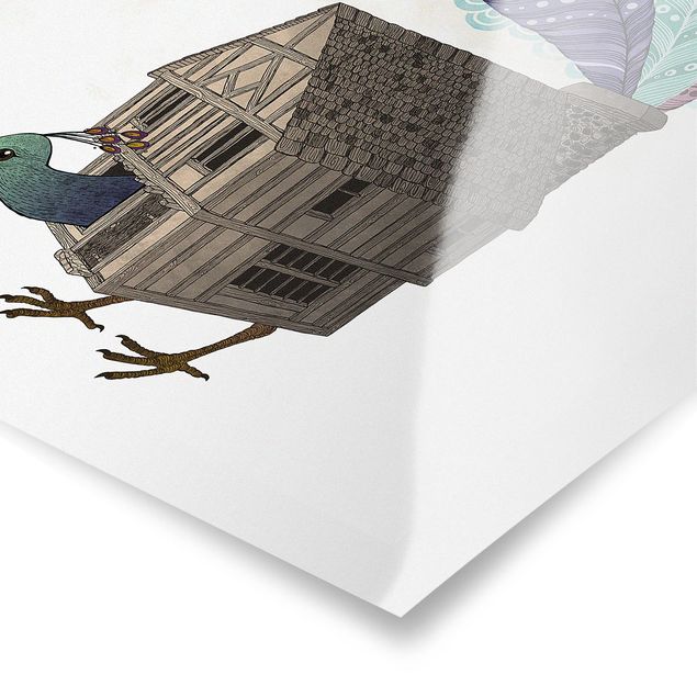 Tableaux de Laura Graves Illustration Maison d'Oiseaux avec Plumes